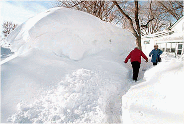 Where is Winter??