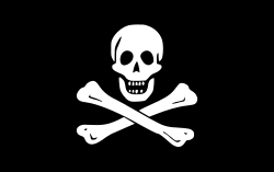 I’m Looking for a few Good Pirates!